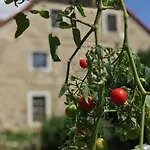 Czerwony Dworek 8 - Karkonosze Farm stay