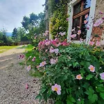 Czerwony Dworek 8 - Karkonosze *