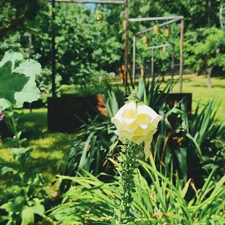 Gospodarstwo agroturystyczne Zabytkowy Dom Czerwony Dworek 8 *