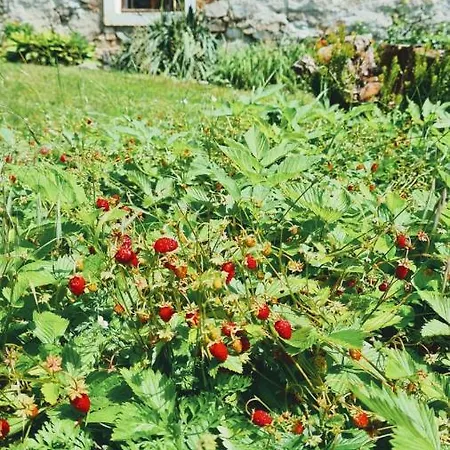 Zabytkowy Dom Czerwony Dworek 8 * Mysłakowice