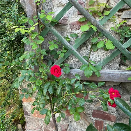 Zabytkowy Dom Czerwony Dworek 8 *