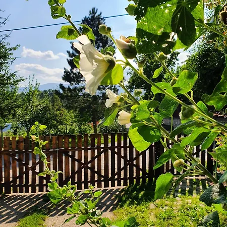 Zabytkowy Dom Czerwony Dworek 8 * Mysłakowice