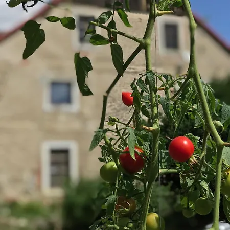 Zabytkowy Dom Czerwony Dworek 8 Gospodarstwo agroturystyczne
