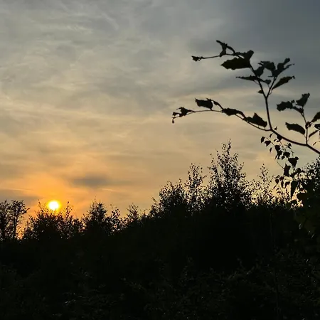 Gospodarstwo agroturystyczne Zabytkowy Dom Czerwony Dworek 8 *