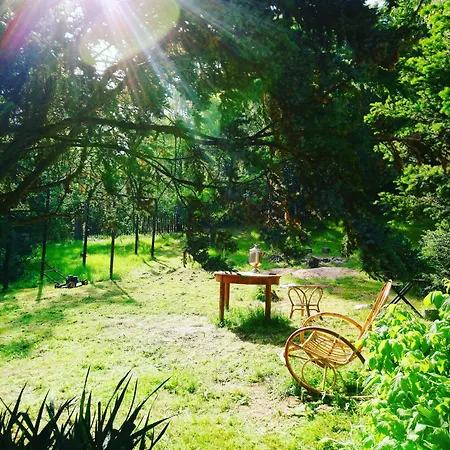 Zabytkowy Dom Czerwony Dworek 8 Gospodarstwo agroturystyczne