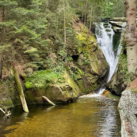 Séjour à la ferme Czerwony Dworek 8 - Karkonosze