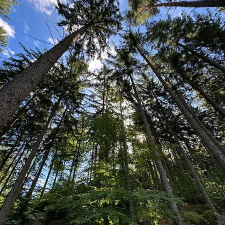 Zabytkowy Dom Czerwony Dworek 8 Gospodarstwo agroturystyczne Mysłakowice