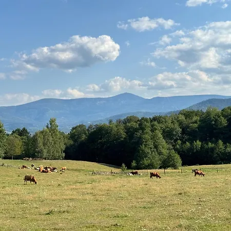 Zabytkowy Dom Czerwony Dworek 8 Mysłakowice