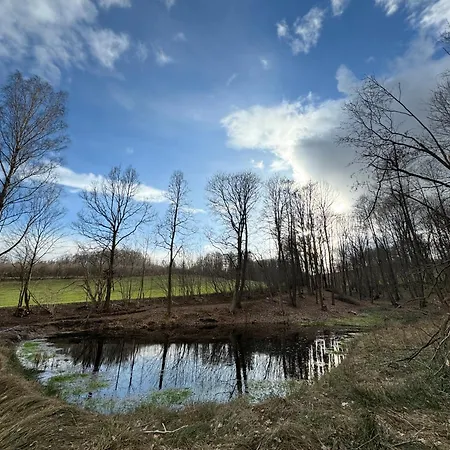 Zabytkowy Dom Czerwony Dworek 8 * Mysłakowice