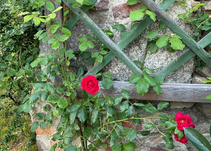 Czerwony Dworek 8 - Karkonosze *