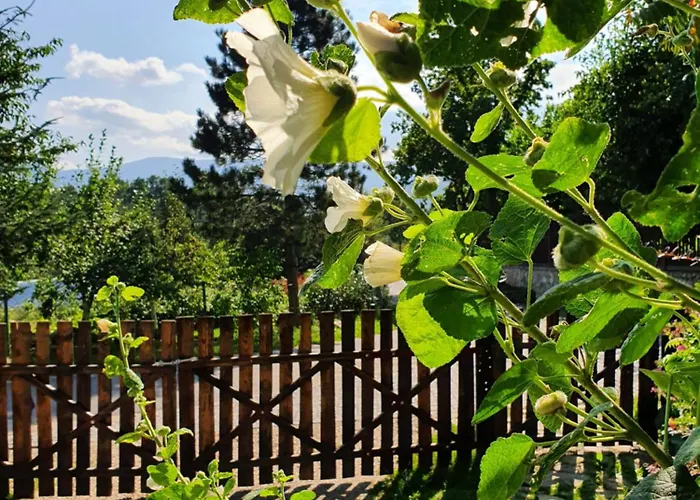 Czerwony Dworek 8 - Karkonosze * Mysłakowice