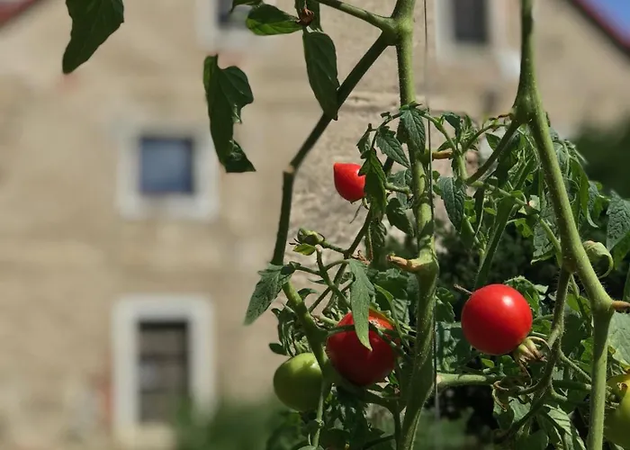 Czerwony Dworek 8 - Karkonosze 农家乐