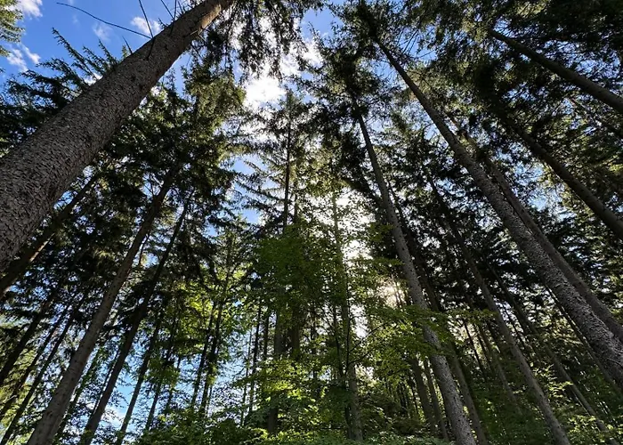 Czerwony Dworek 8 - Karkonosze 农家乐 Mysłakowice